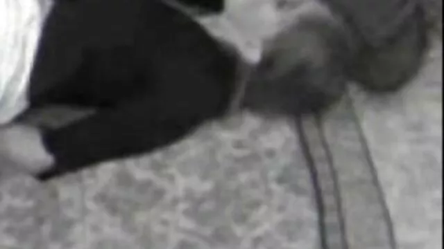 پورنو داغ بدون ثبت نام  آماتور روی تخت زوج زیبا در خانه عکس سکسی پسر خوشکل می نوازد
