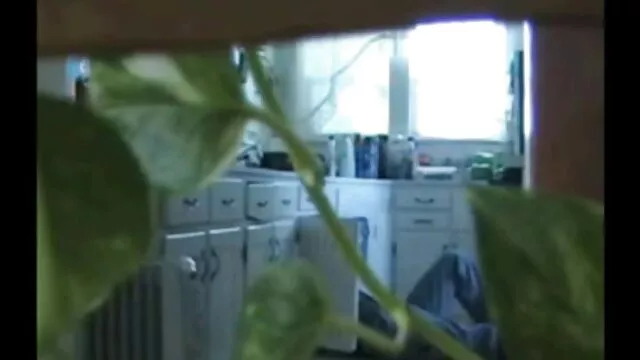 پورنو داغ بدون ثبت نام  بلوند عکس سکسی پسر دختر زیبایی فراموش نشدنی رابطه جنسی صبحانه را می خواست